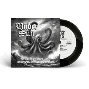 riptide rats vs chuck norris experiment for bandcamp riptide rats